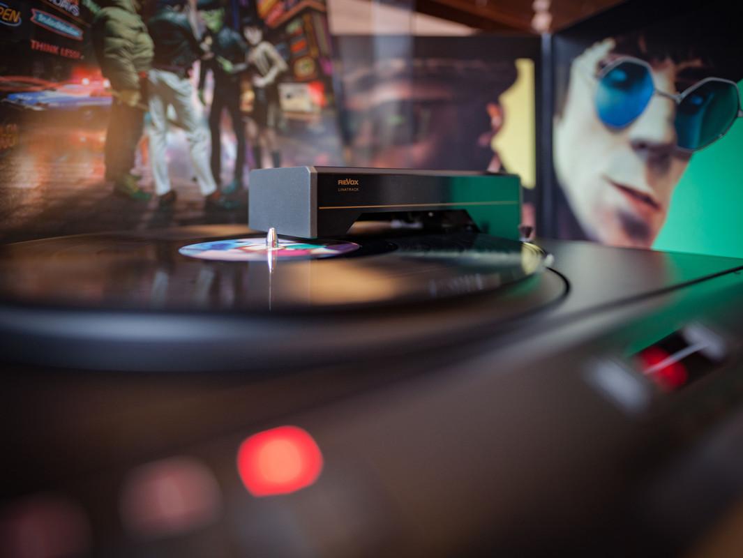 Gorillaz auf B291S (1 von 3)