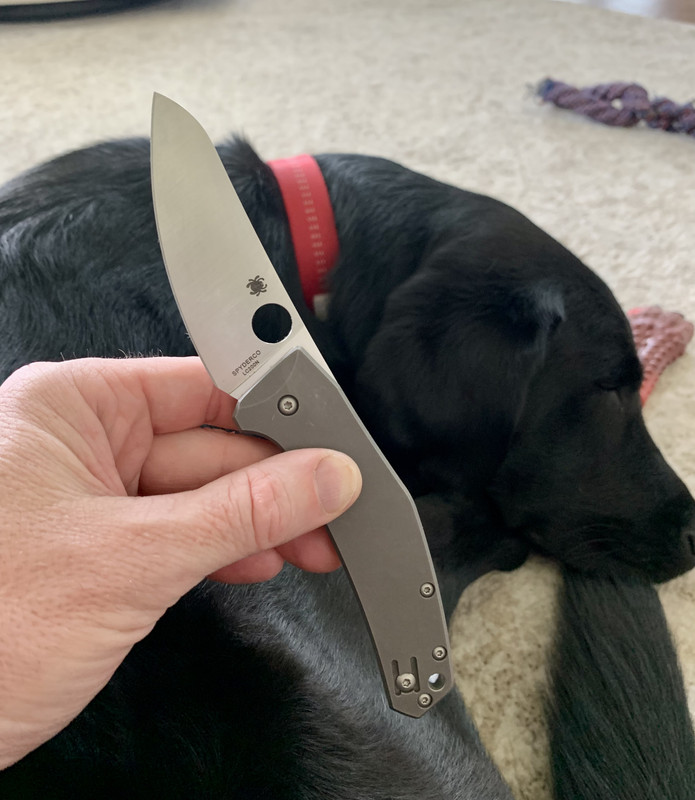 61F6A0CF-697F-4643-B13B-EAC14D28BB12