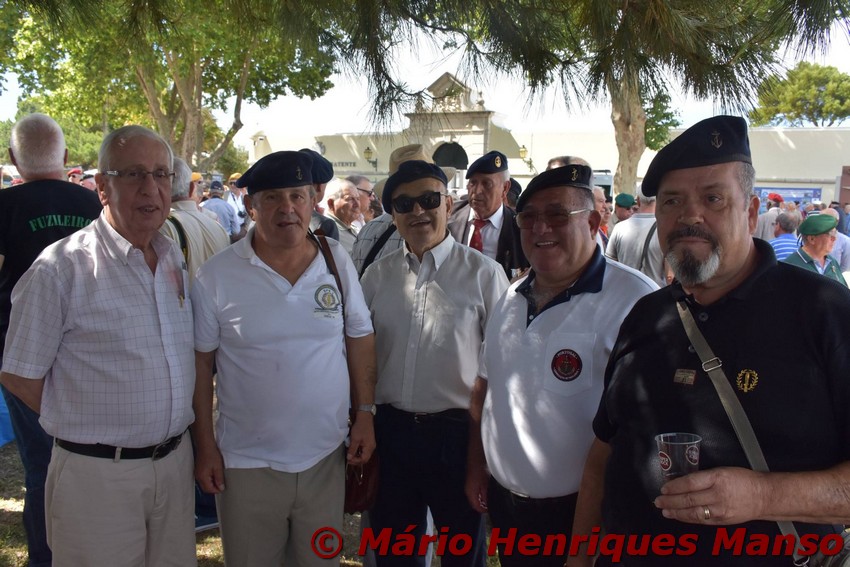 19092877_1489118117807751_3303271687951811752_o