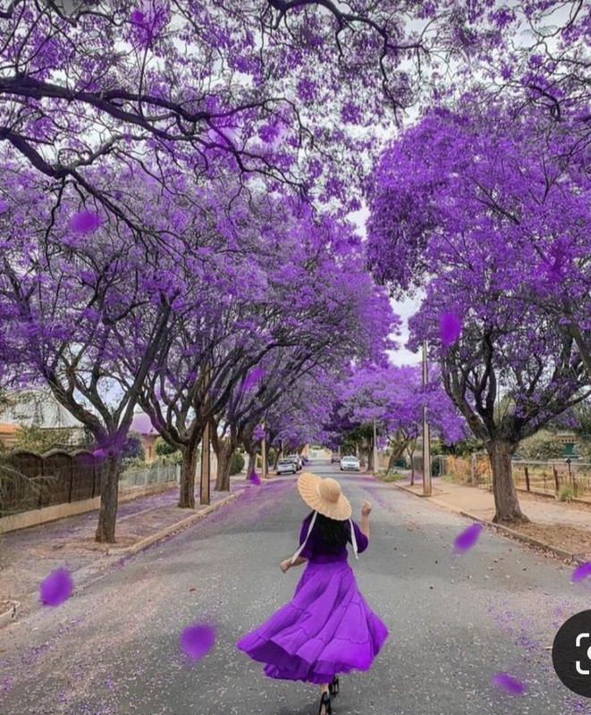 Screenshot_20230322_235033_Pinterest