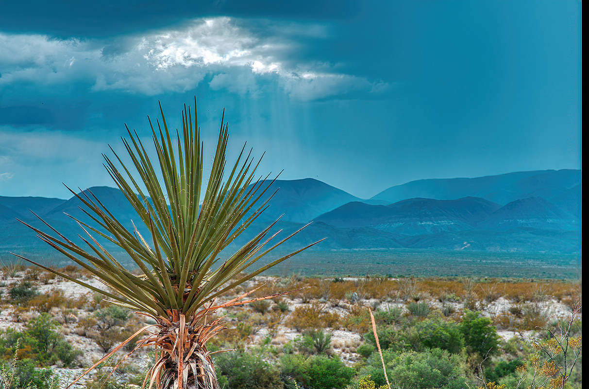 IMAGE: https://i.postimg.cc/R0GZc5wr/A-Bright-Landscape-copy.jpg