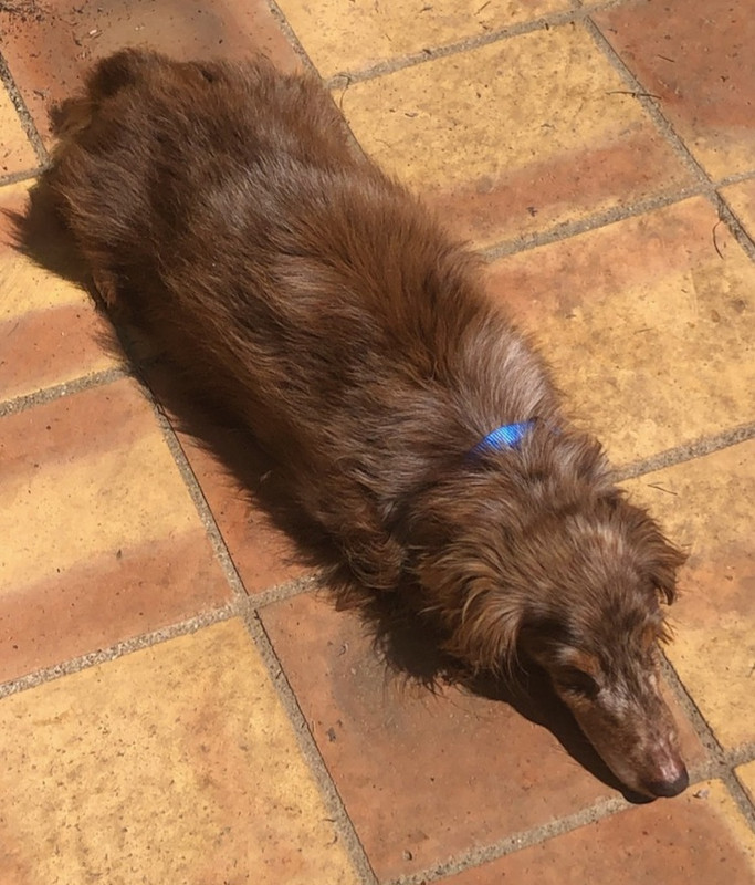 [Image: IMG-20240413-202633.jpg]