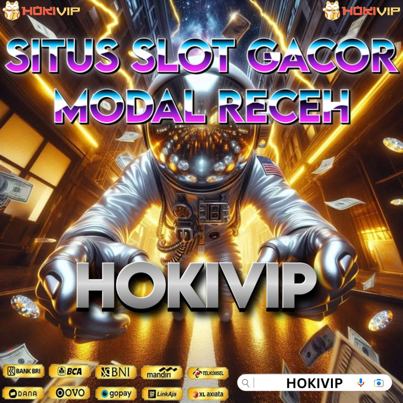 HOKIVIP
