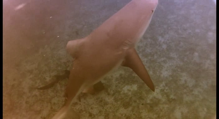 vlcsnap-2016-12-30-21h08m11s954