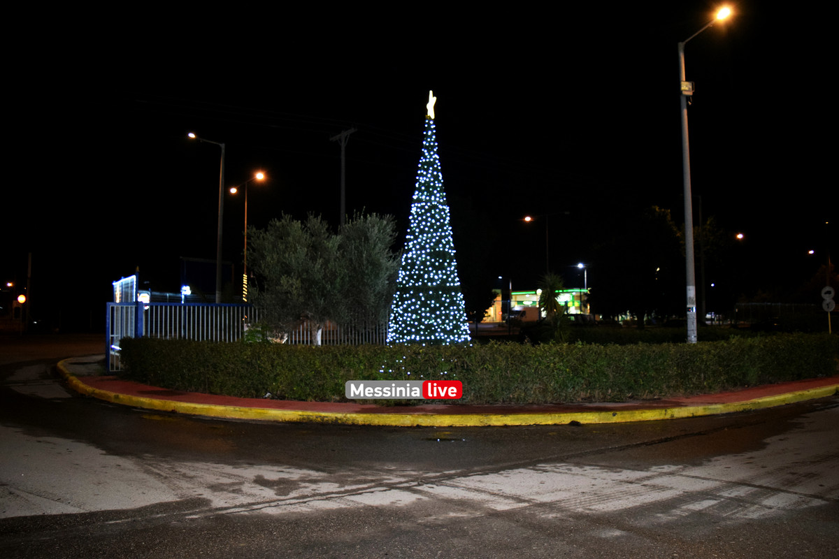 ΔΕΝΤΡΟ ΔΙΟΚΛΗΣDSC_0263