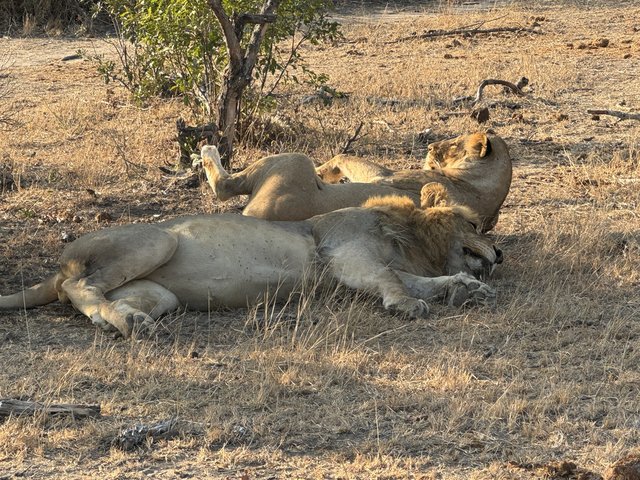 [Linked Image from i.postimg.cc]