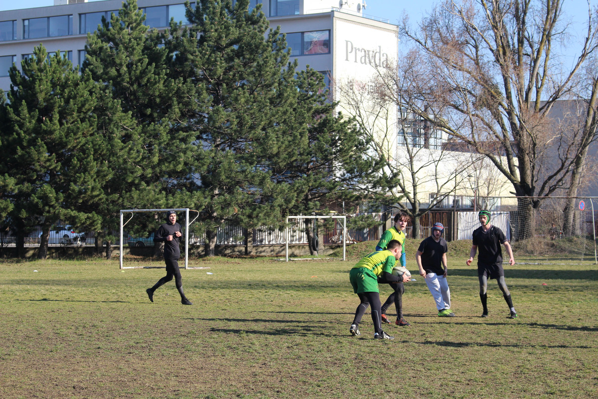 IMG-5310