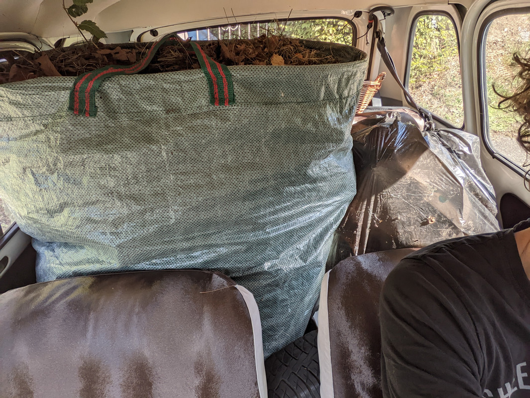 PXL_20220917_132215842