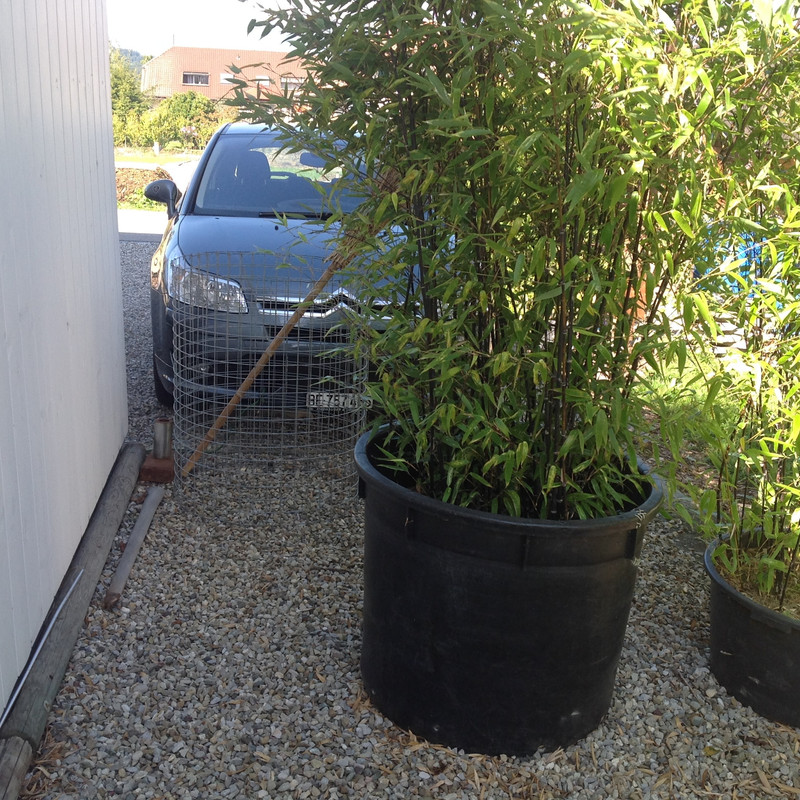 Situationsbild Kasten VCG 2015 (21)