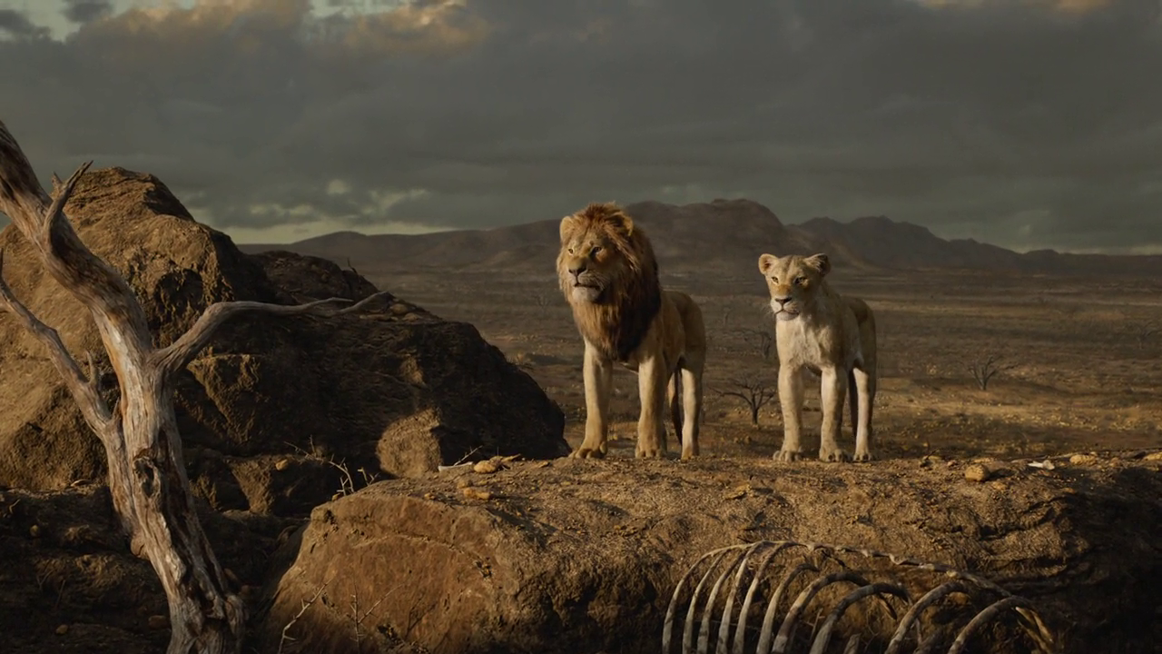 300mbunited.me--00012