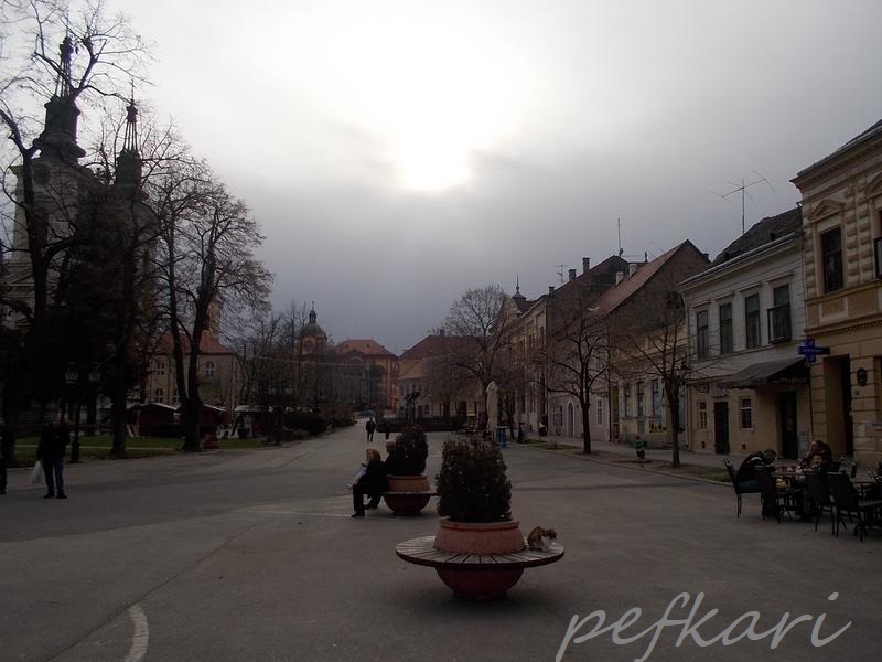 Slika