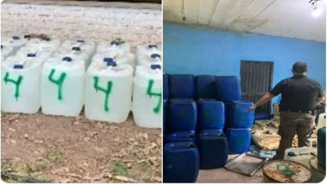 Golpe al narcotráfico: FGR asegura dos narcolaboratorios en Sinaloa