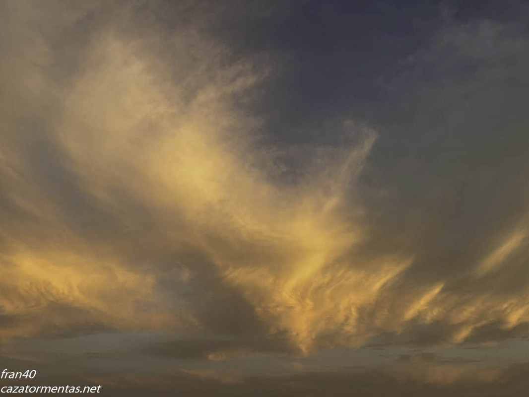 photo_5863930802579028908_y (1)