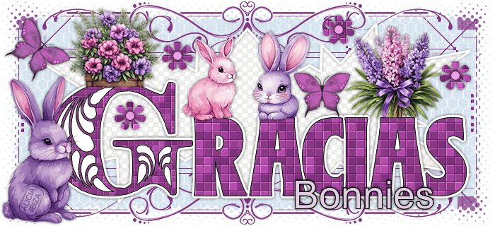 Gracias-Beautiful-Bunnies-bonnies