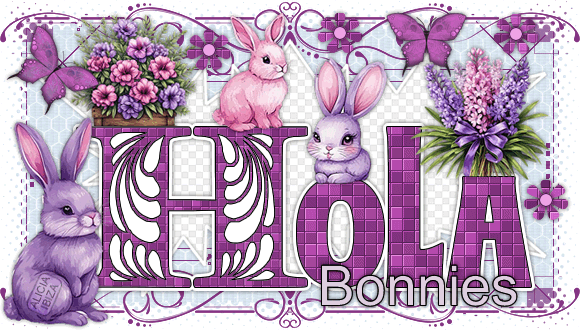 Hola-Beautiful-Bunnies-bonnies