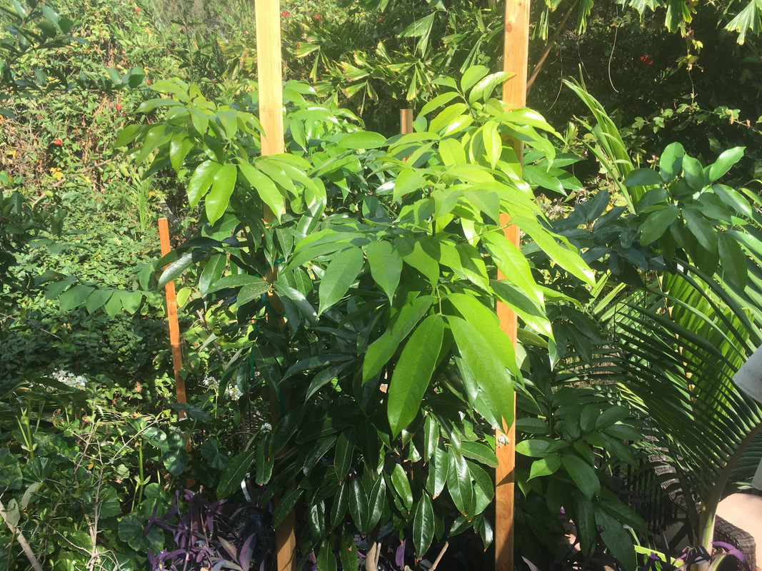 8231AC9F-00E7-4FDA-9A69-E31C6A88468E