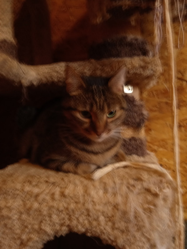 IMG-4e1324ae5bb8d605ba2b3dd4bb7267ee-V