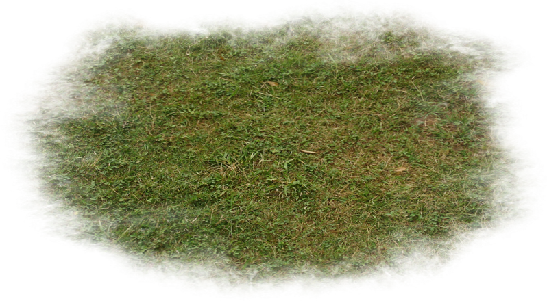 Autumn Witchery (79)