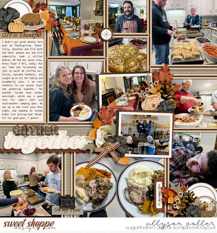 allyanne_Palooza596_WM.jpg