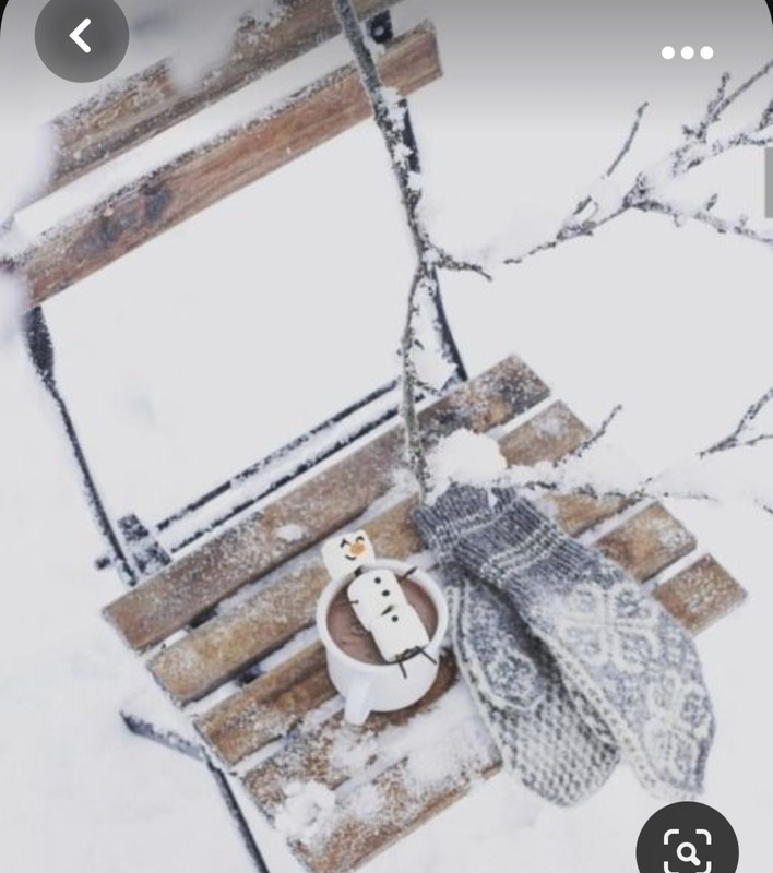 Screenshot_20231017_201406_Pinterest