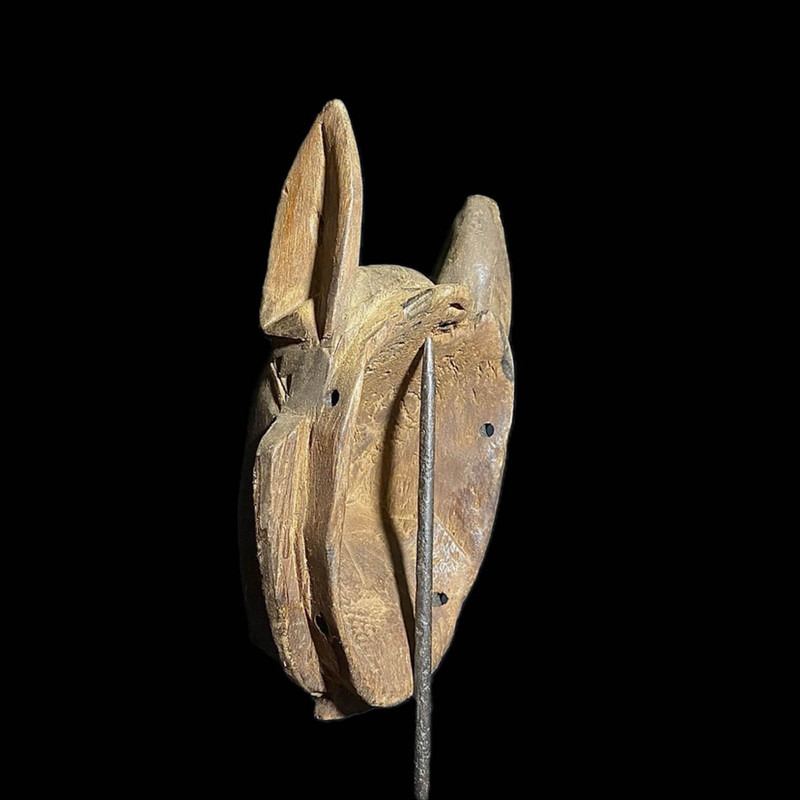 large image 11