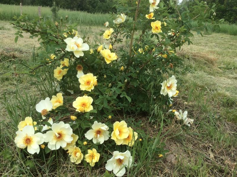 2F419E3F-9666-42A7-8D60-28DED2BF87EF