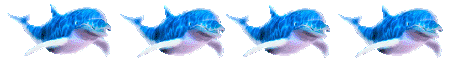 zxbbv