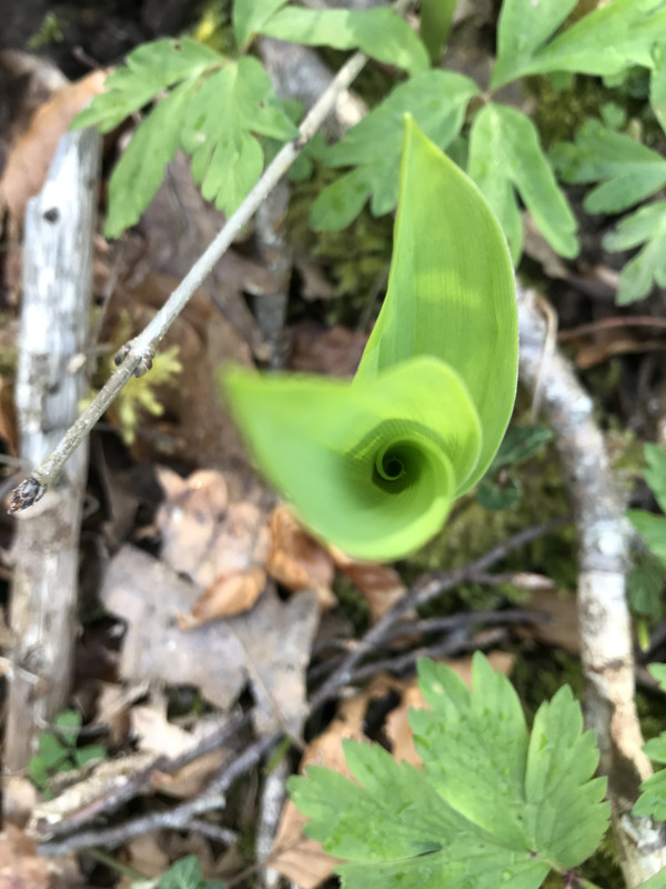 0A5E1A15-83FF-42A5-ACA1-4BB3F14CB3B8