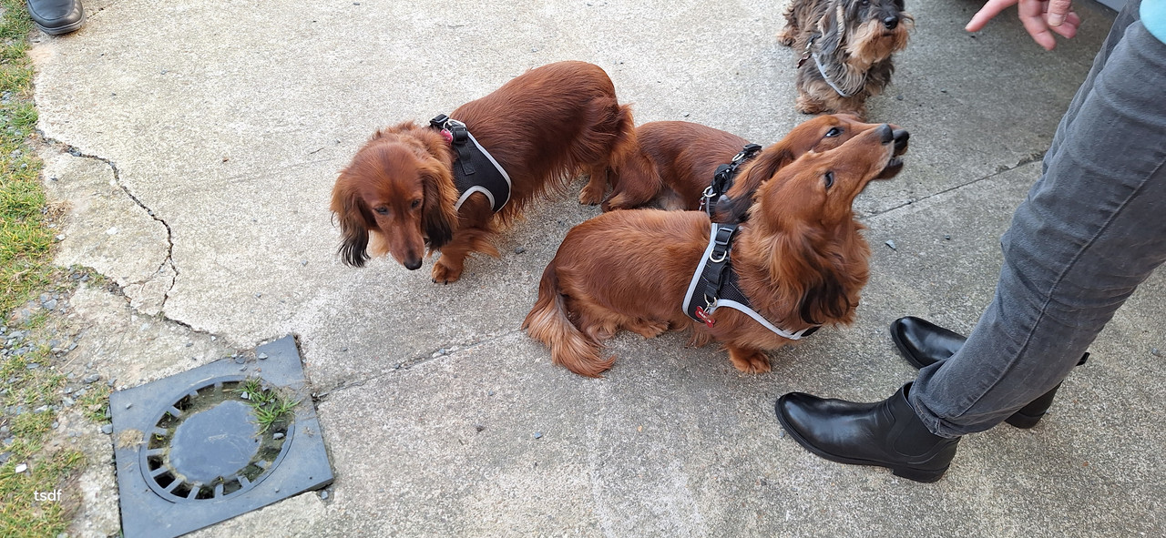 [Image: 20250306-181650.jpg]