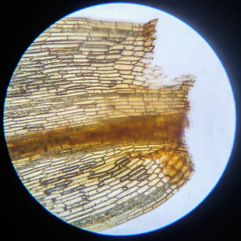 IMG 20250614 112424 HDR