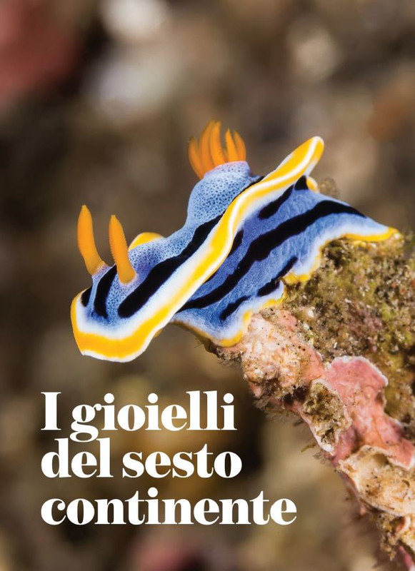 melaverde Set 2021 (1)