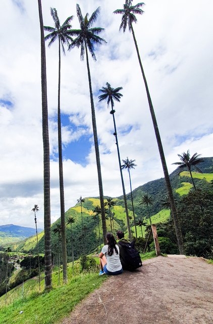 DIA 4: EL VALLE DE COCORA - Colombia y Curaçao Verano 2022 (13)