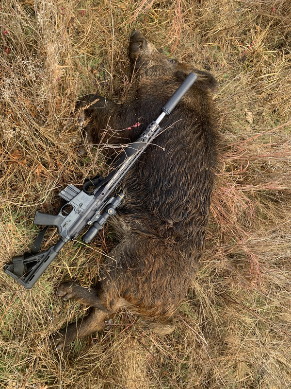 1618D69B-9DB0-43BE-966E-8A2DD960AC37