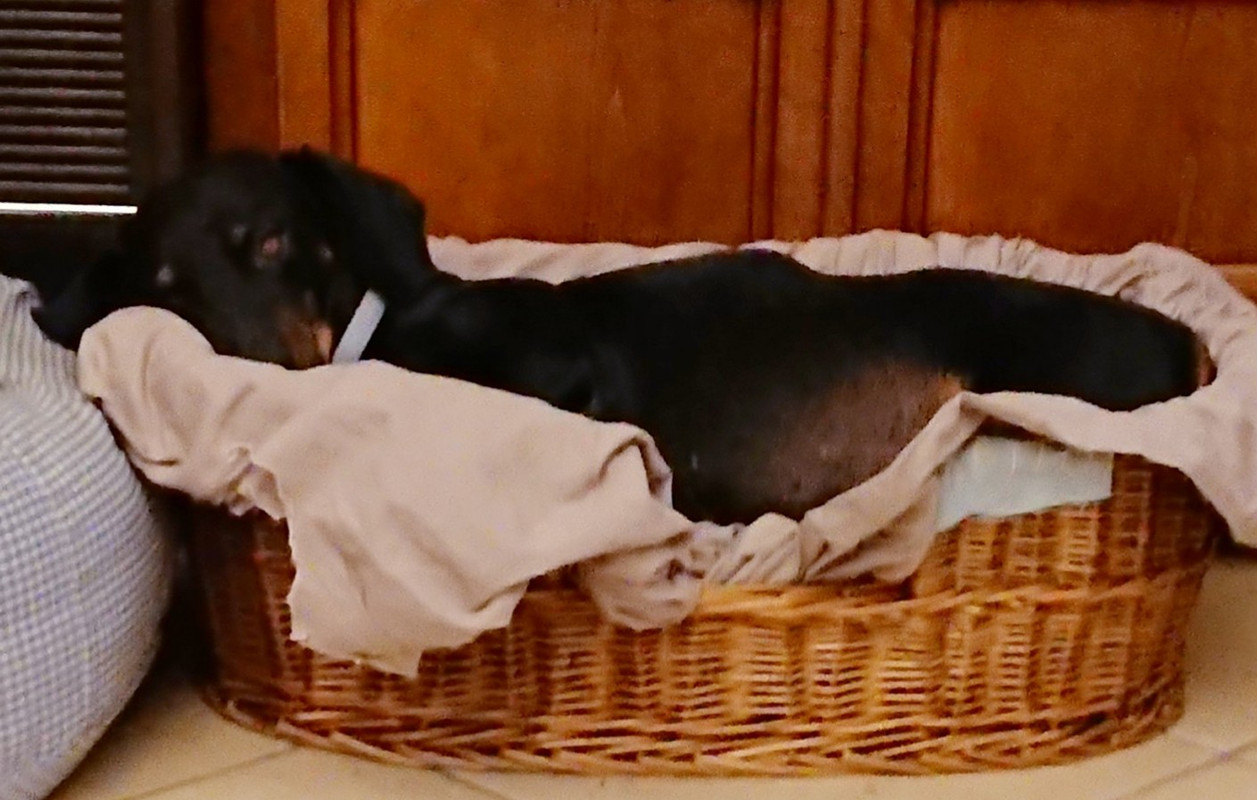 [Image: download-1.jpg]