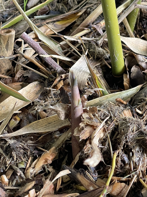 00E2D48F-6328-4E82-A86C-7127980F915C