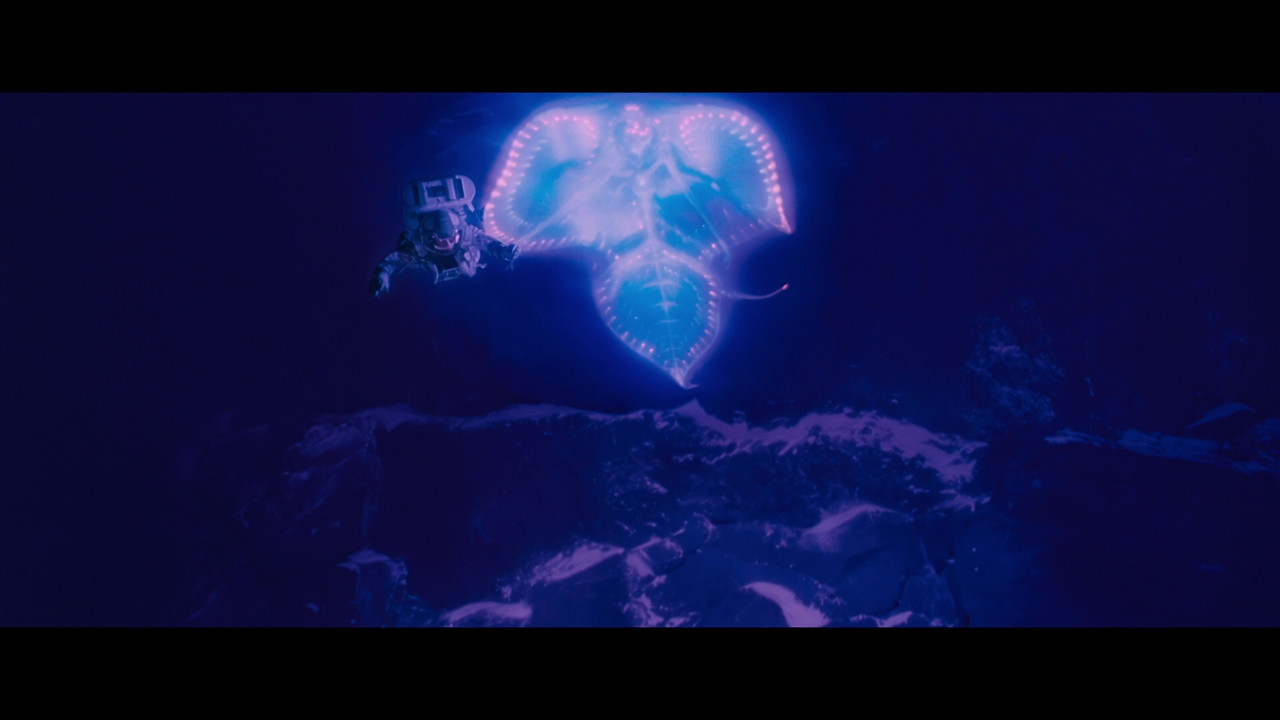 vlcsnap 2026 02 19 18h05m00s511