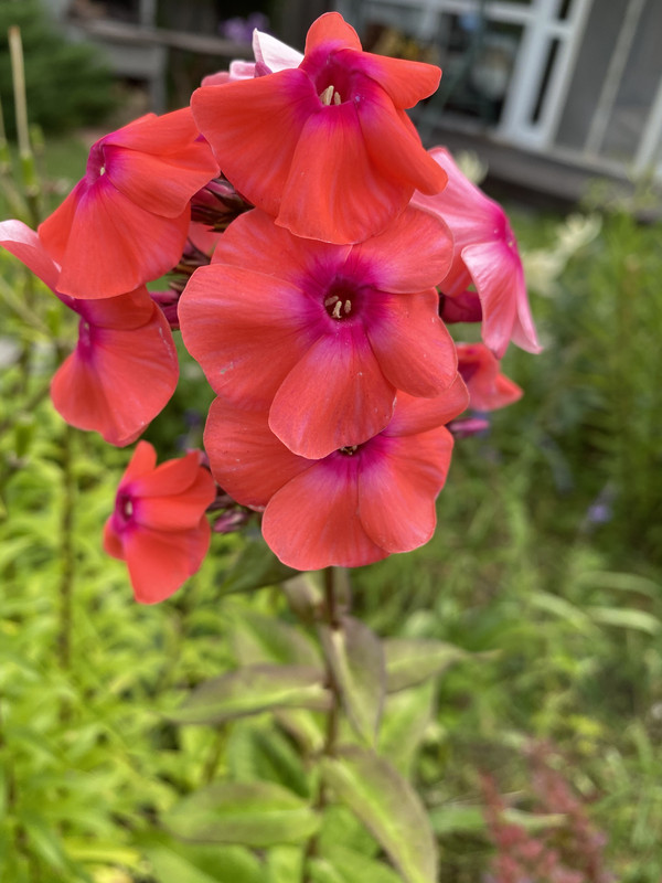 035720A3-9A37-47F1-8CE2-5F332DBDA2FE