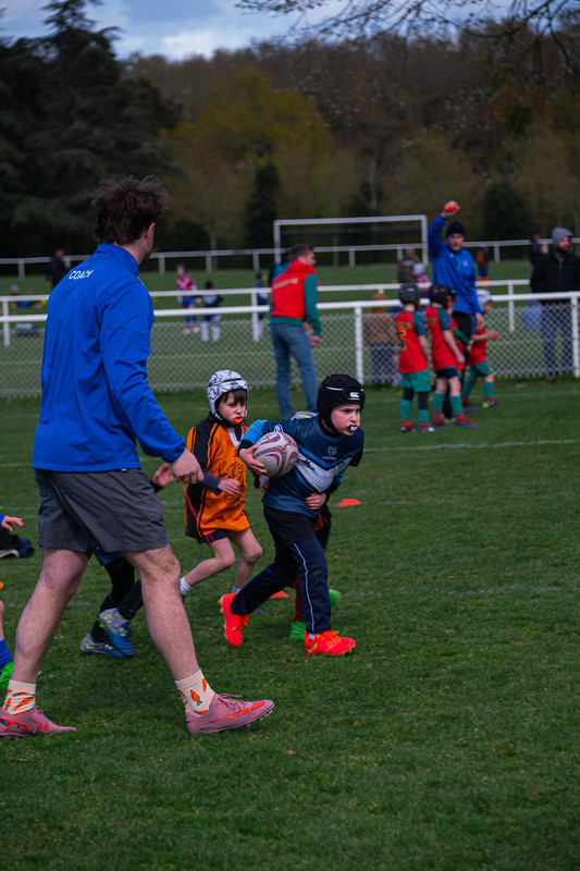 tournoi-de-latlantique-2026-adonis-griffon-139-55181456063-l