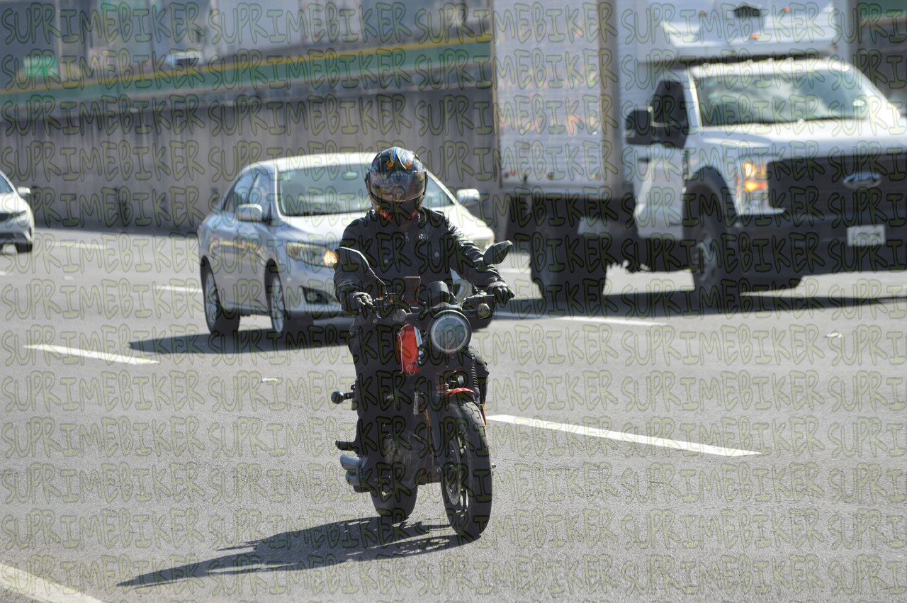 DSC 0330