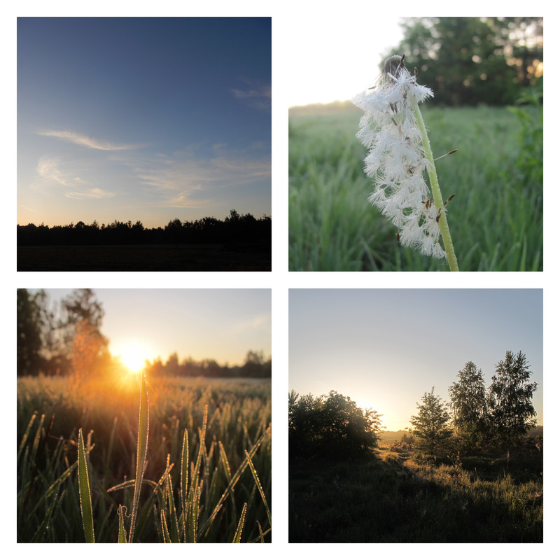 pixlr_20240508071410999