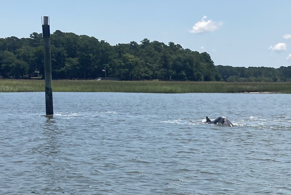 7C48AD73-5C53-4588-A2A4-698B5534CCD3