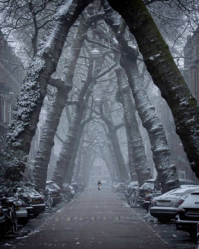 Amazing-1