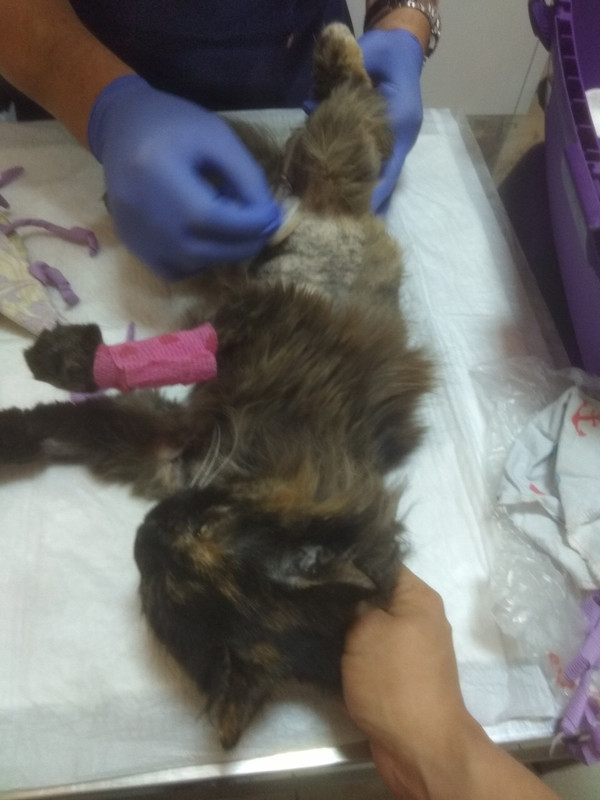 9BDE27FE-3C6C-4693-BF72-FECA07CB71B8