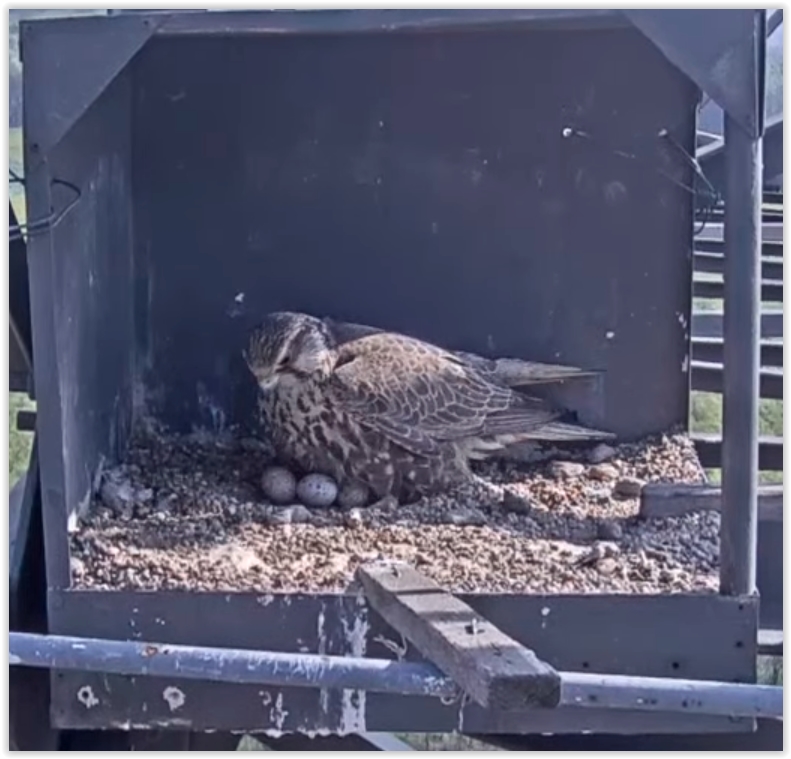 Screen Shot 04-30-22 at 09.08 AM