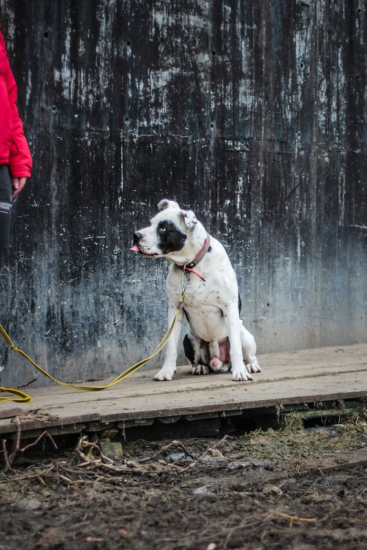 без имени-0253