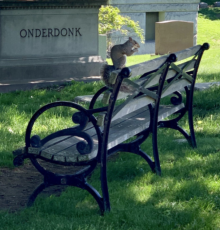 5316E778-1859-4037-8D88-9243B1537DFF