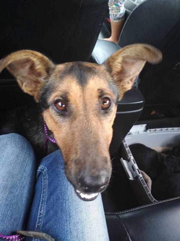 Марта малятко3