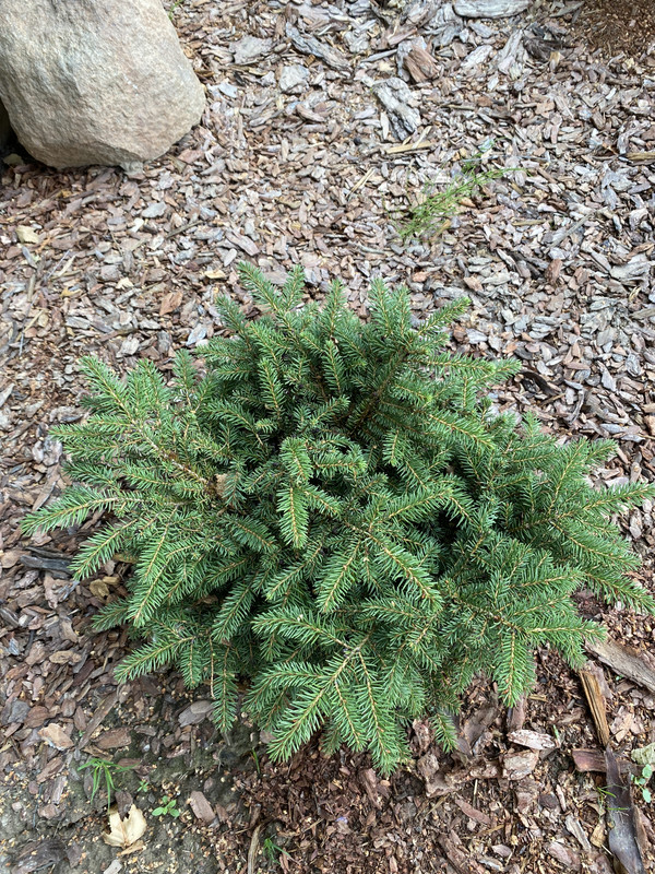 701D848C-844A-4830-8BA4-9907807A8C0A