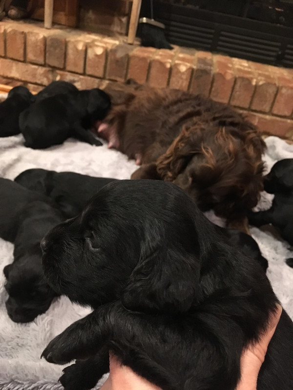 57140D56-A3C4-4381-BFEC-F29FB5369E45