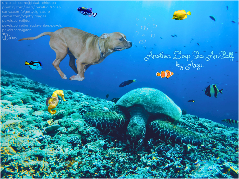 another deep sea amstaff by arzu